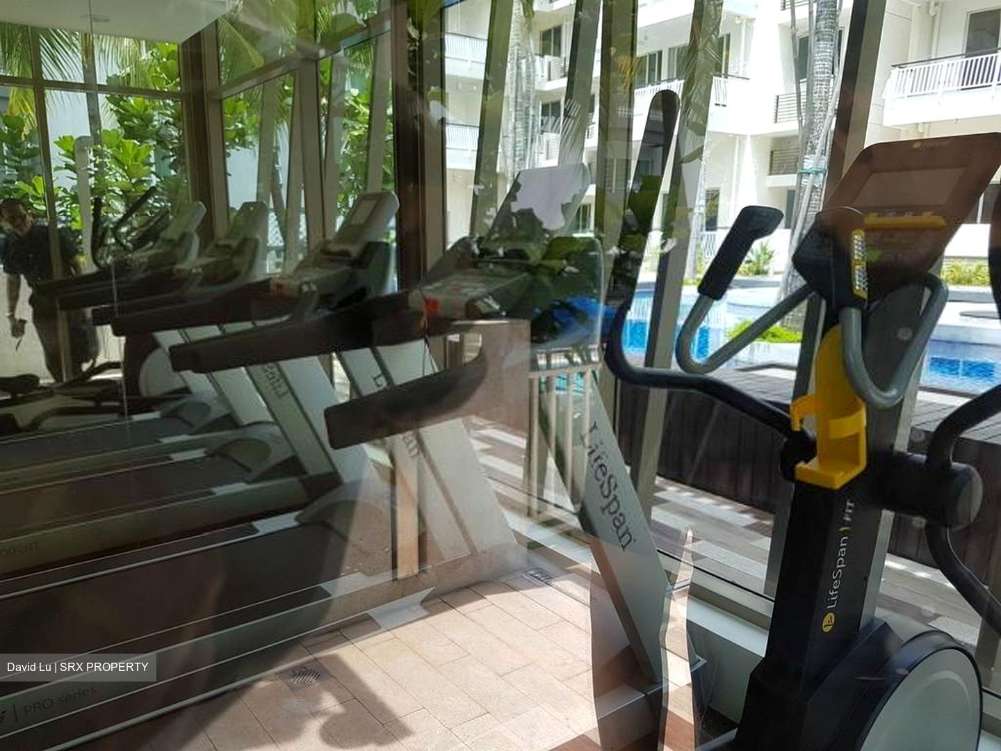 Whitehaven (D5), Apartment #365817071